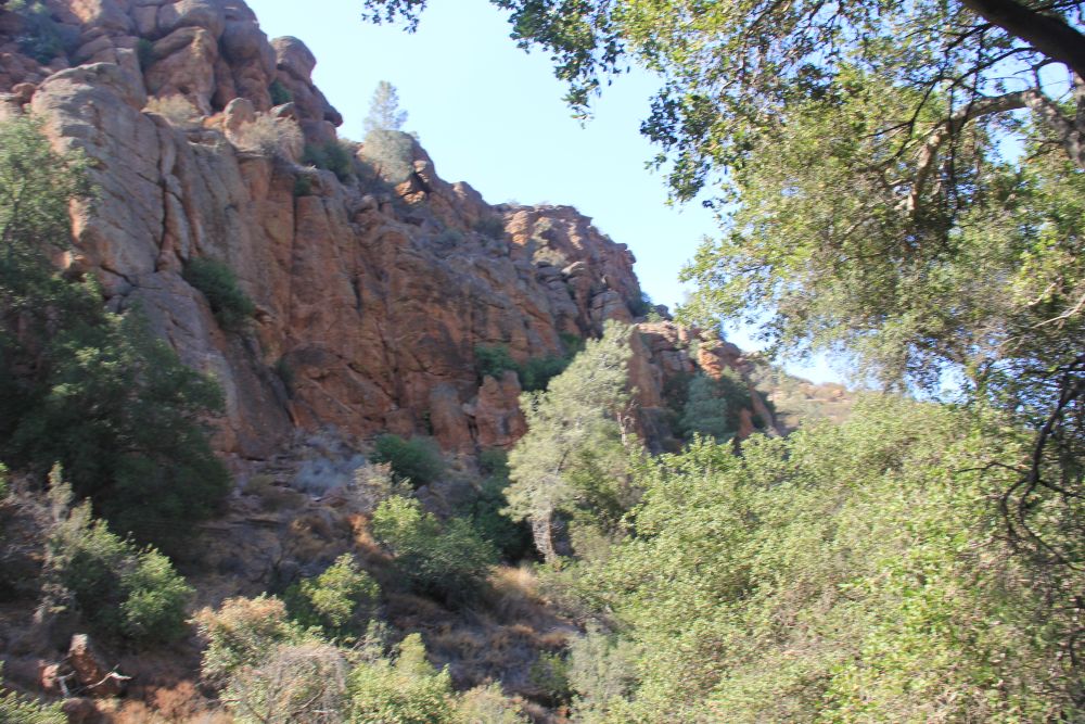 Outlook