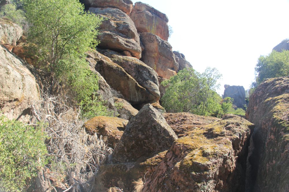 Outlook