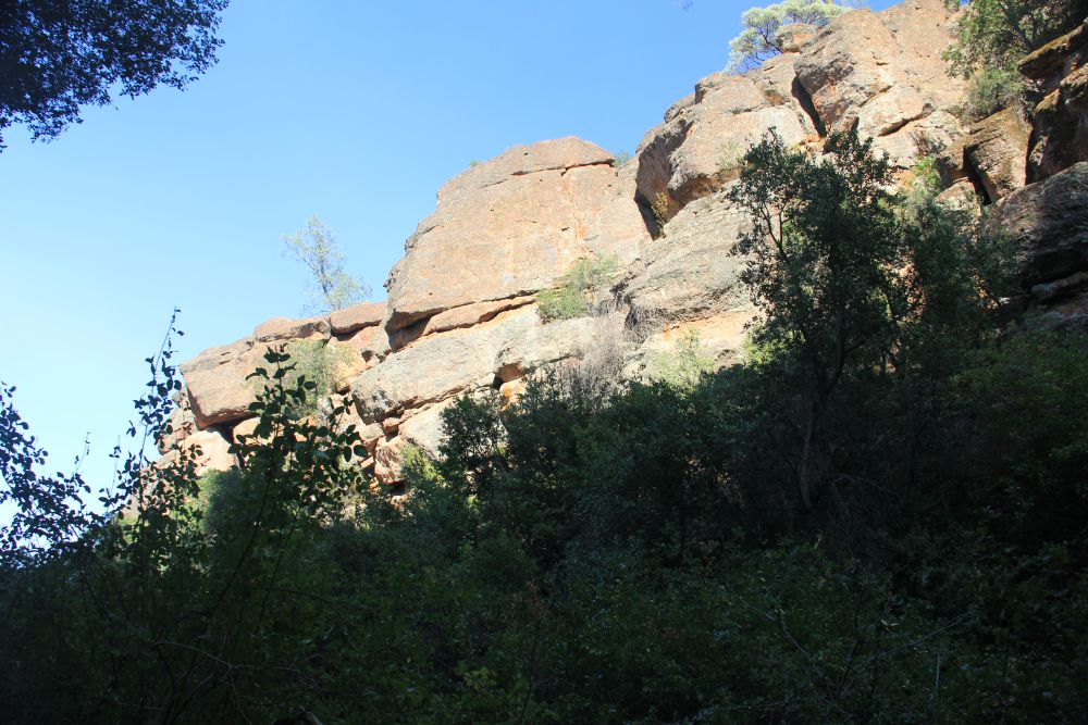 Outlook
