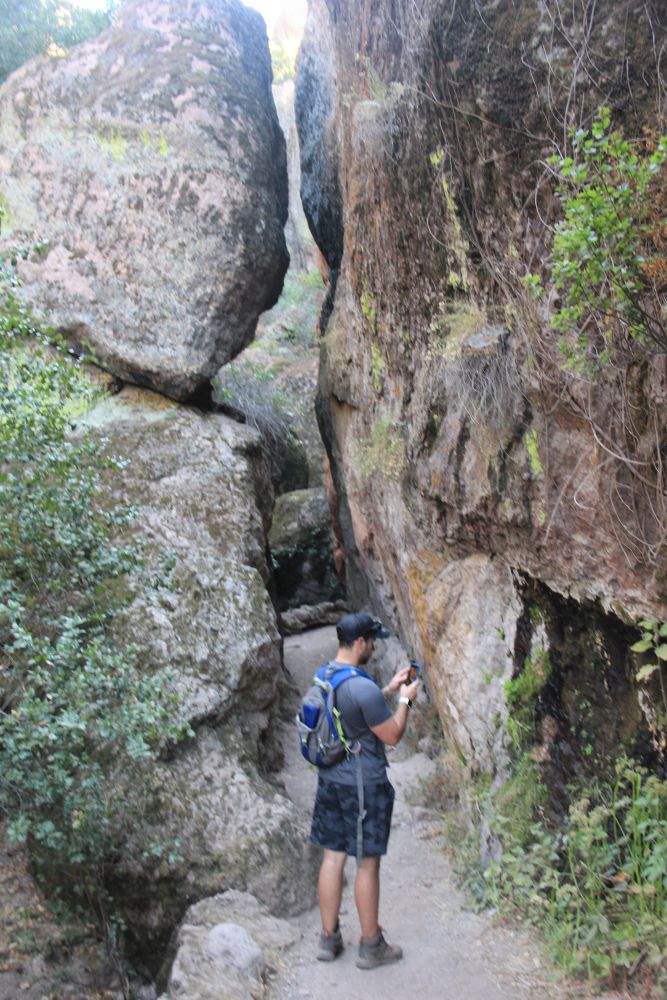 Outlook