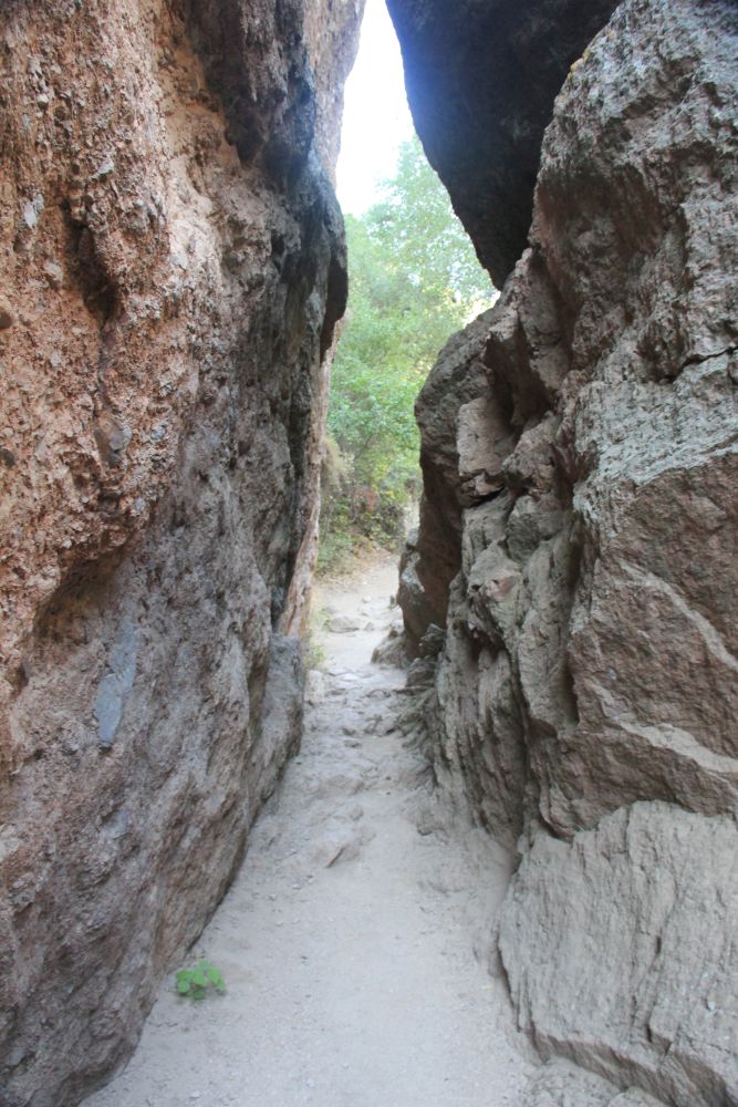 Outlook