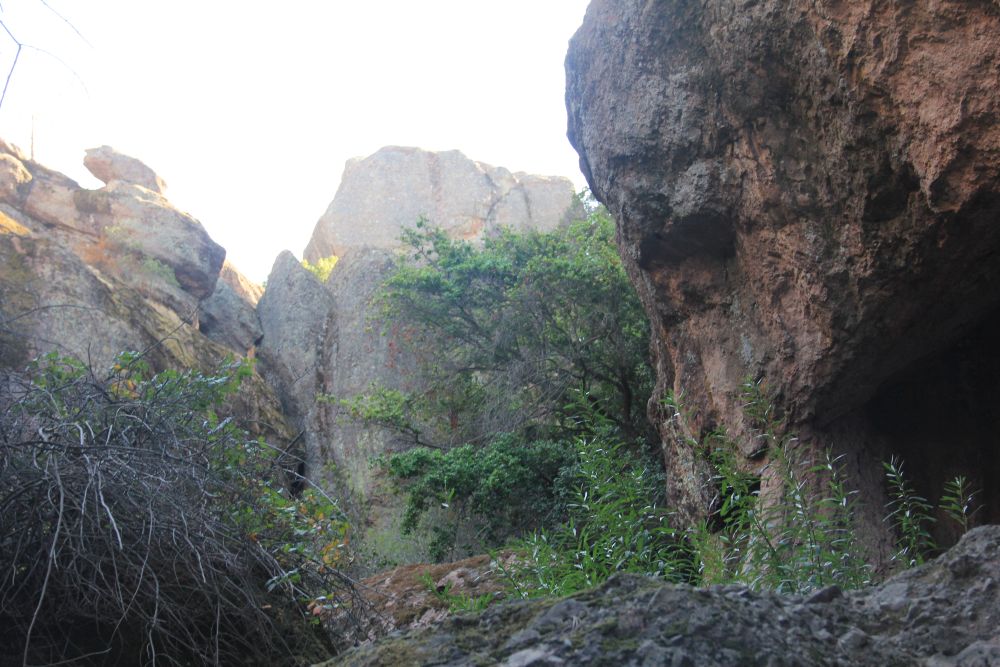 Outlook