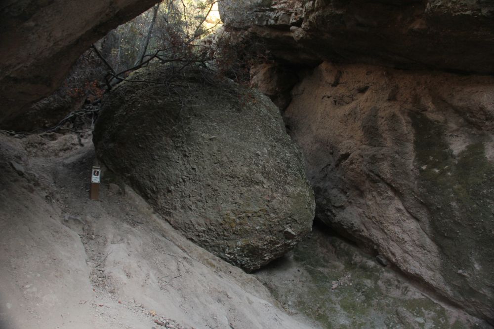 Outlook