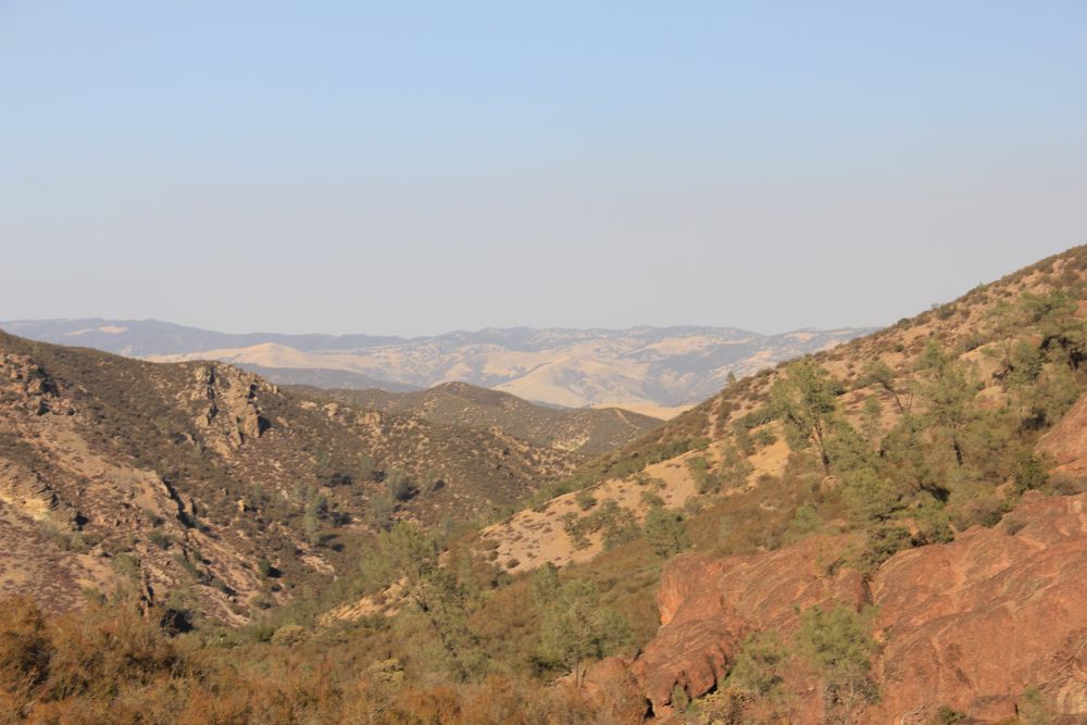 Outlook