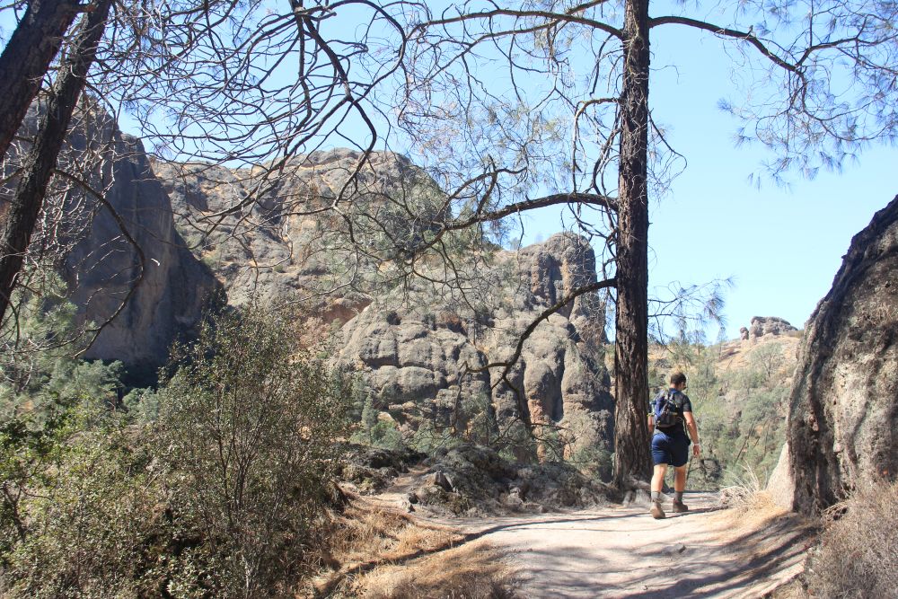 Outlook