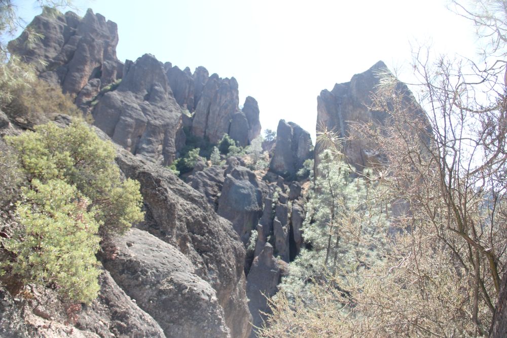Outlook