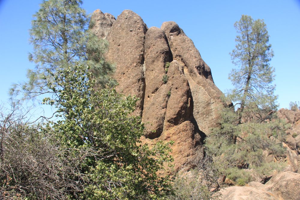 Outlook