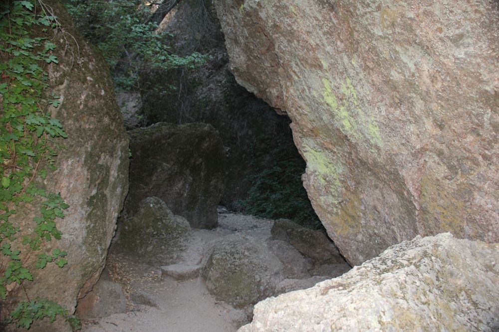Outlook