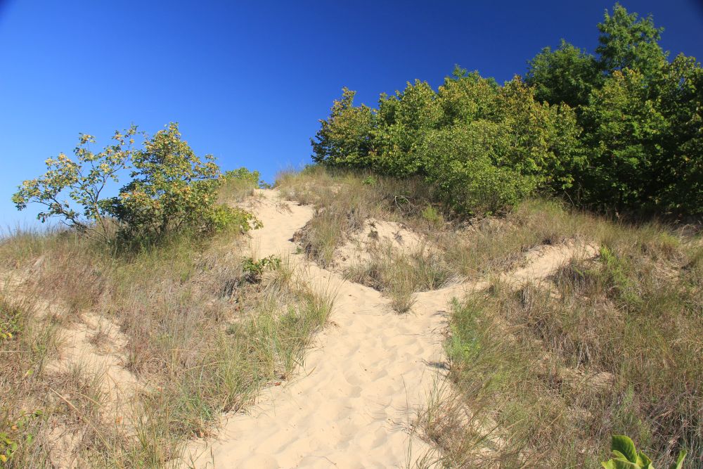 Outlook