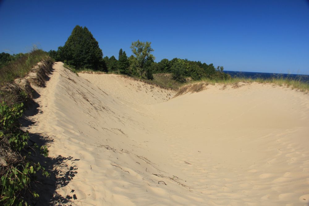 Outlook