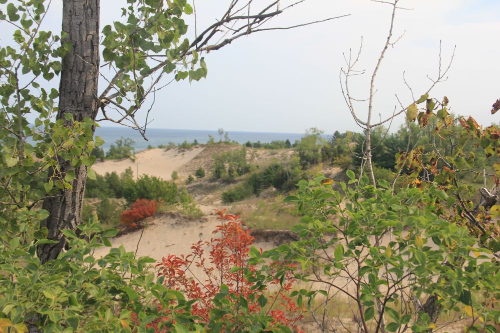Outlook