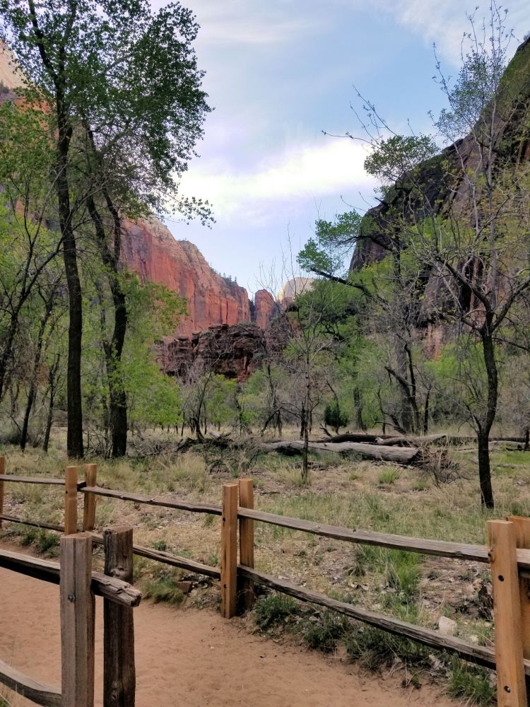 Outlook