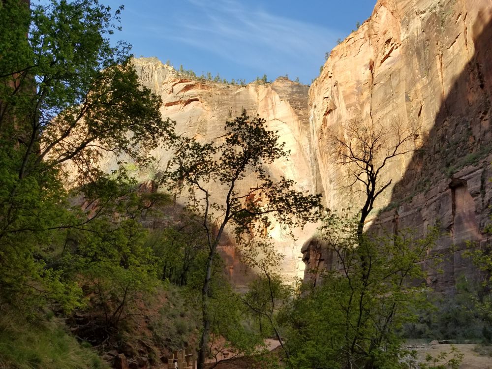 Outlook