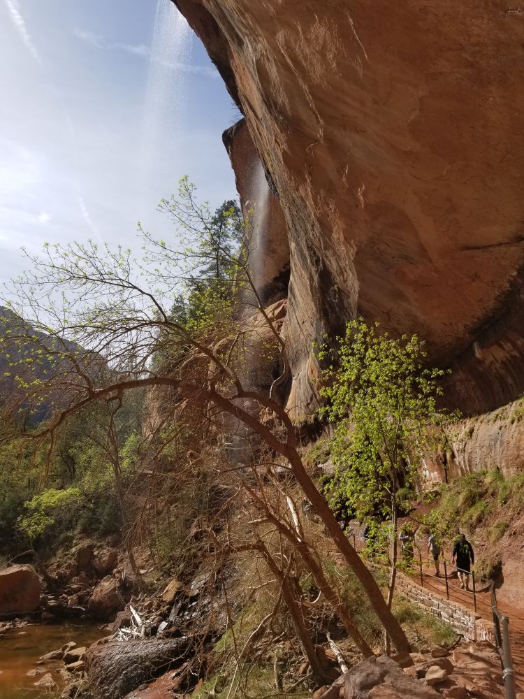 Outlook