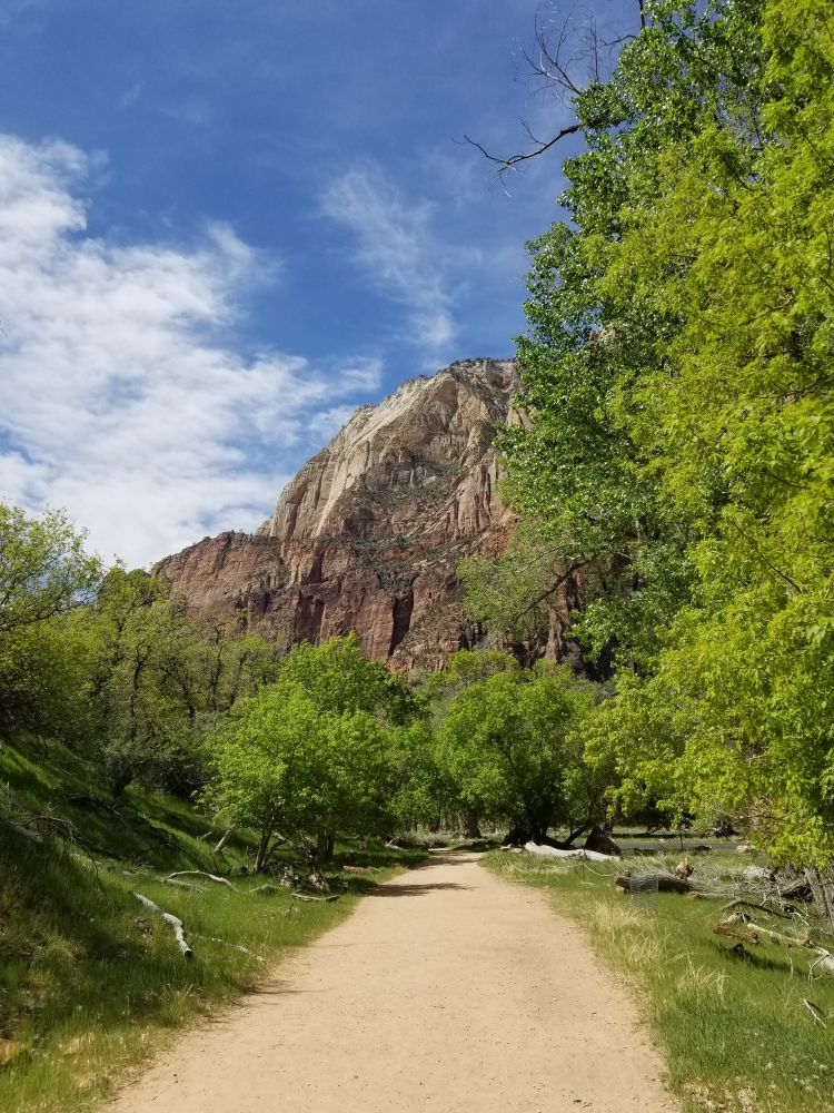Outlook