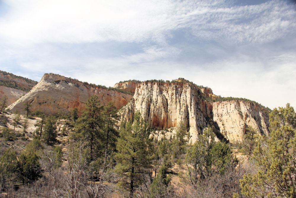 Outlook