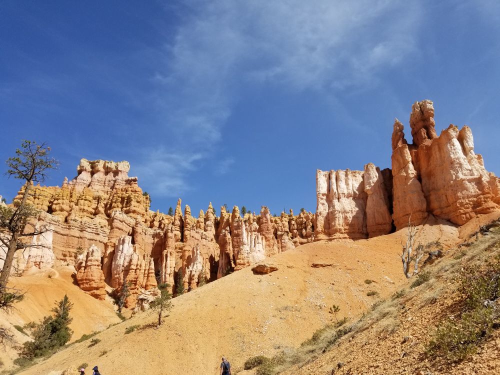 Outlook