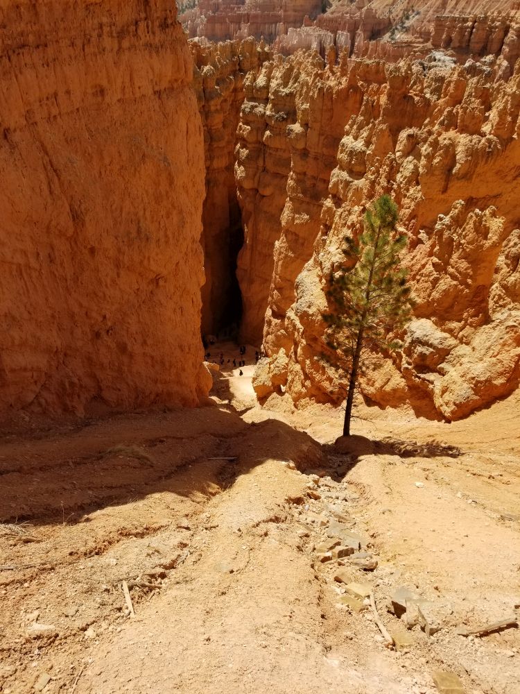 Outlook