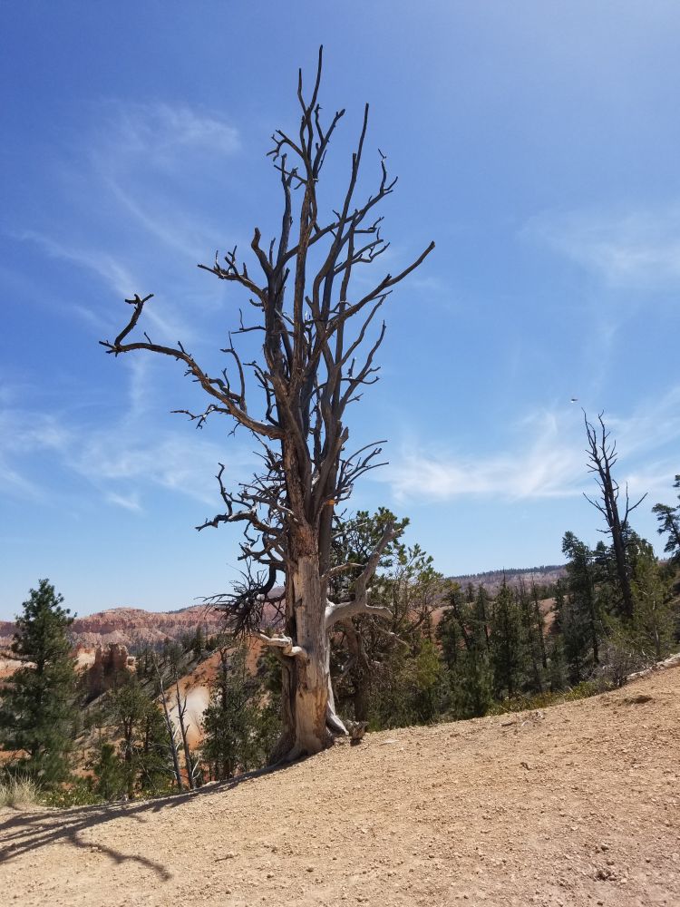Outlook