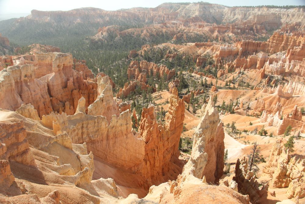 Outlook