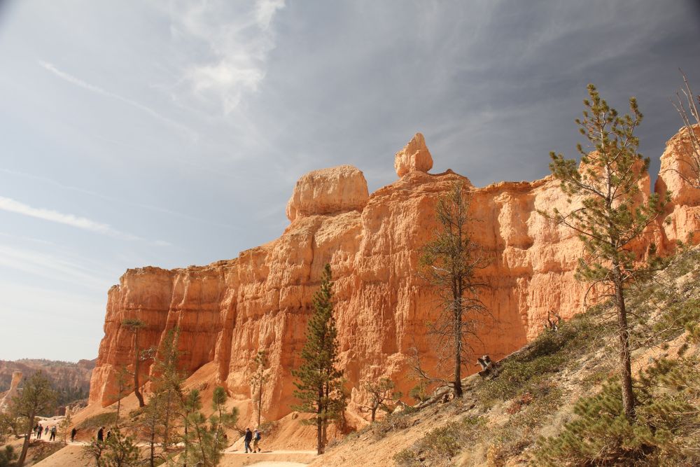 Outlook
