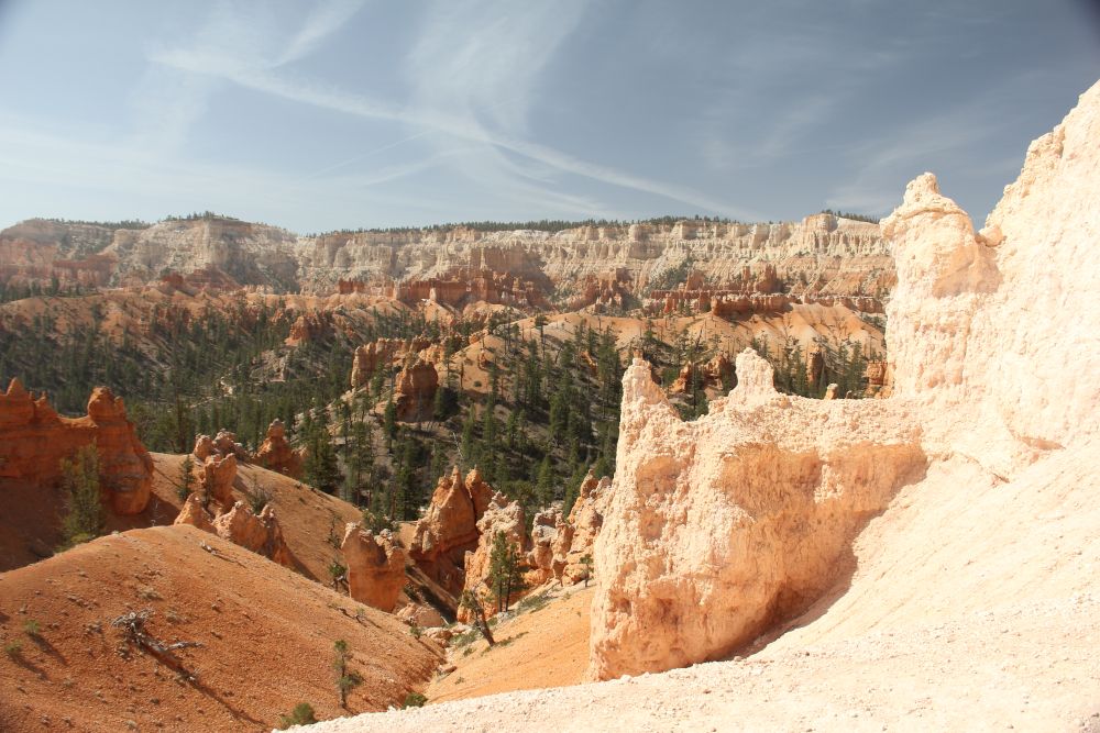 Outlook