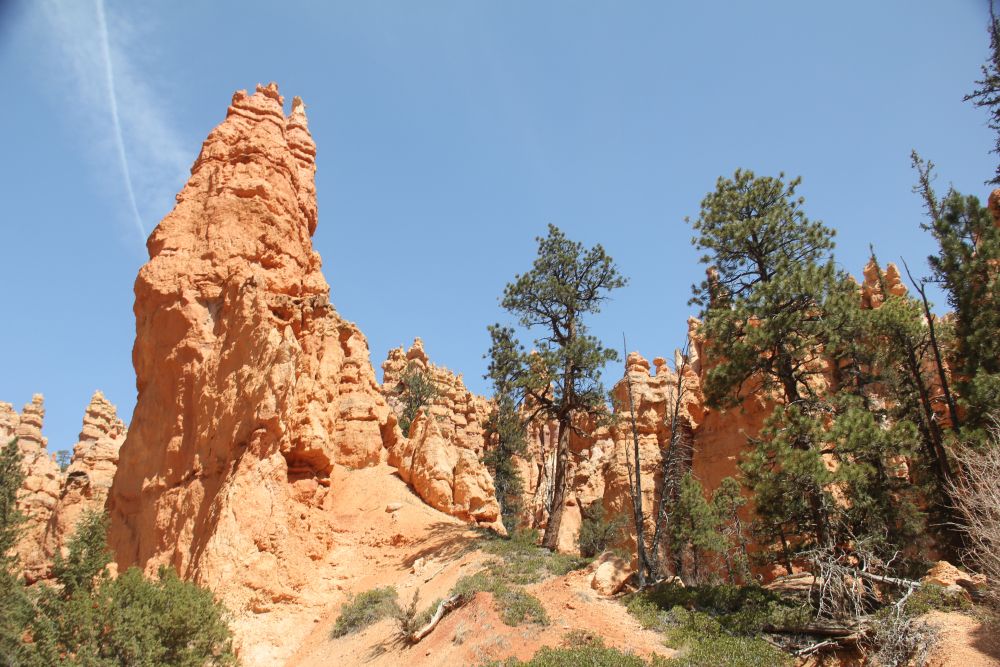 Outlook