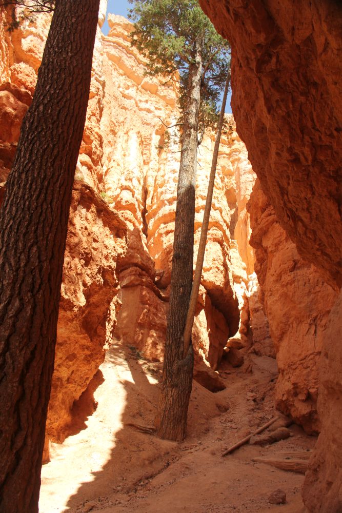 Outlook