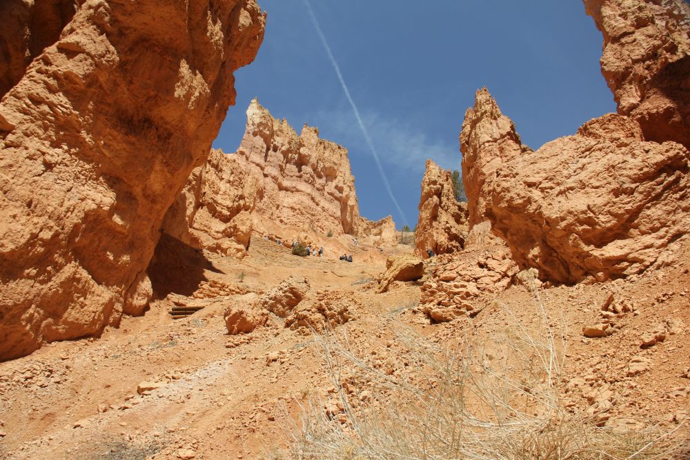 Outlook