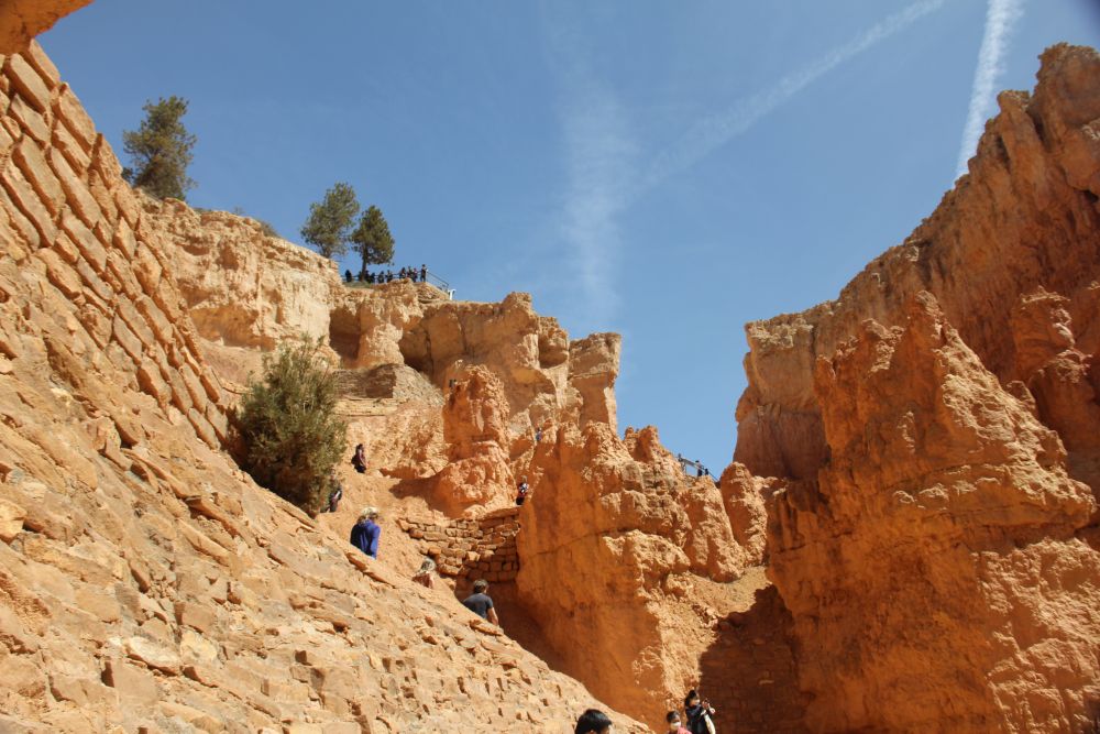 Outlook