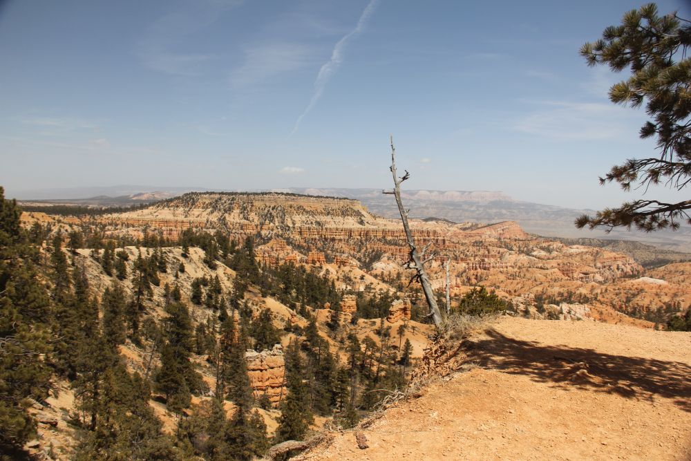 Outlook