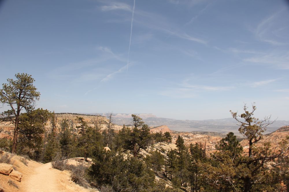 Outlook