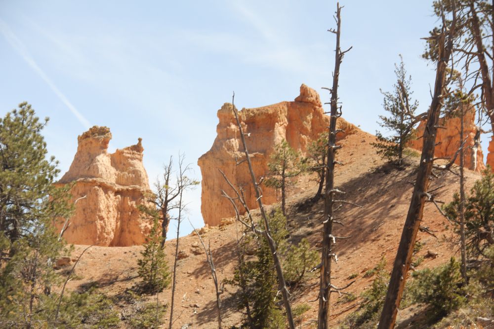 Outlook