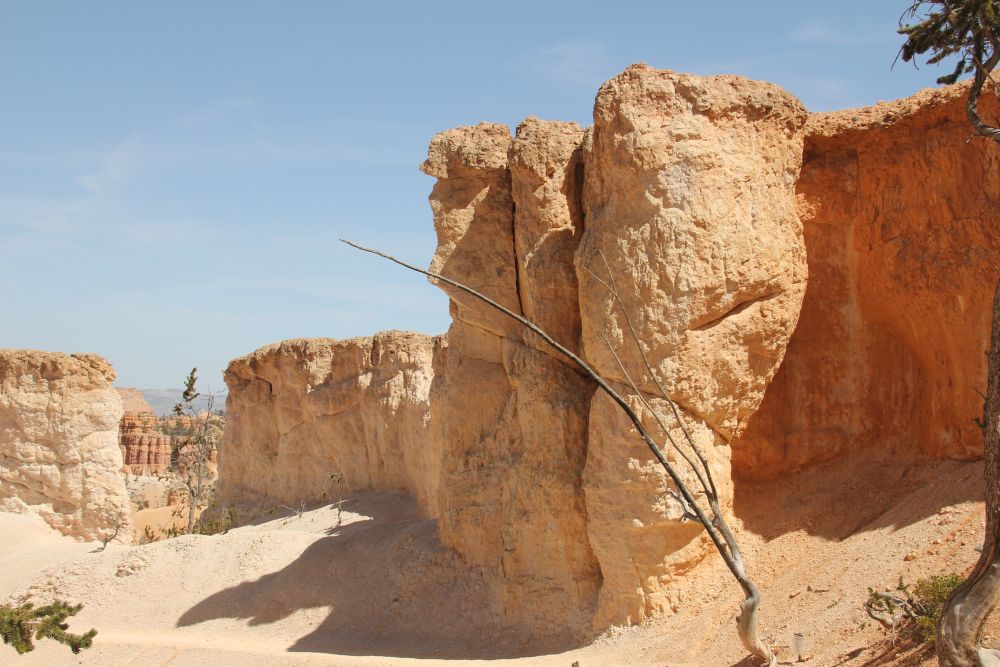 Outlook