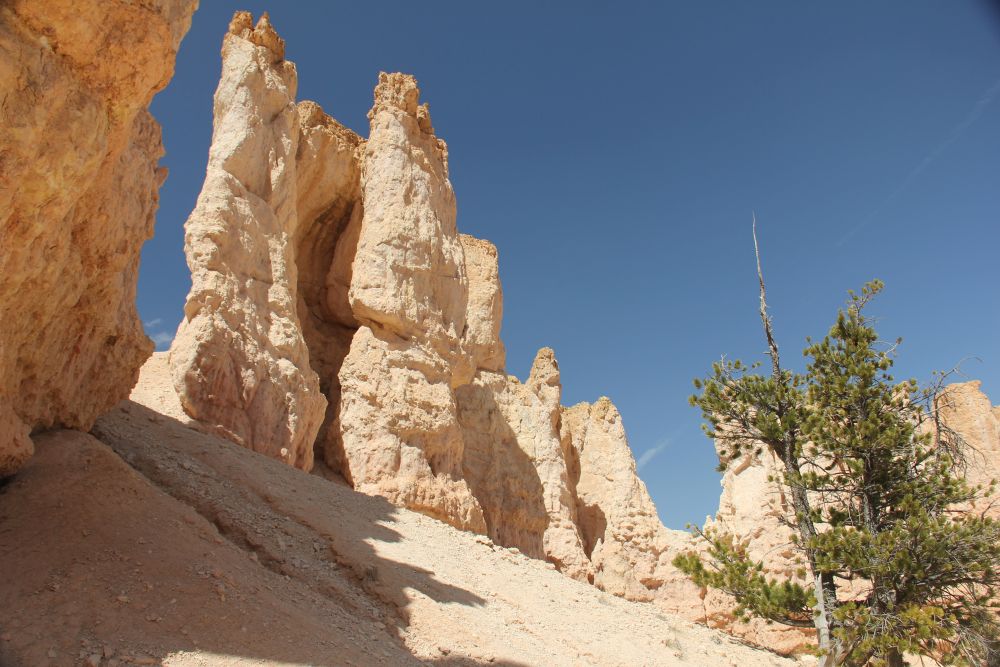 Outlook