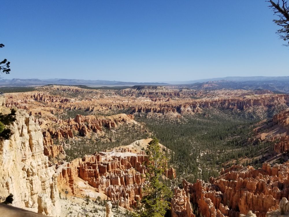 Outlook