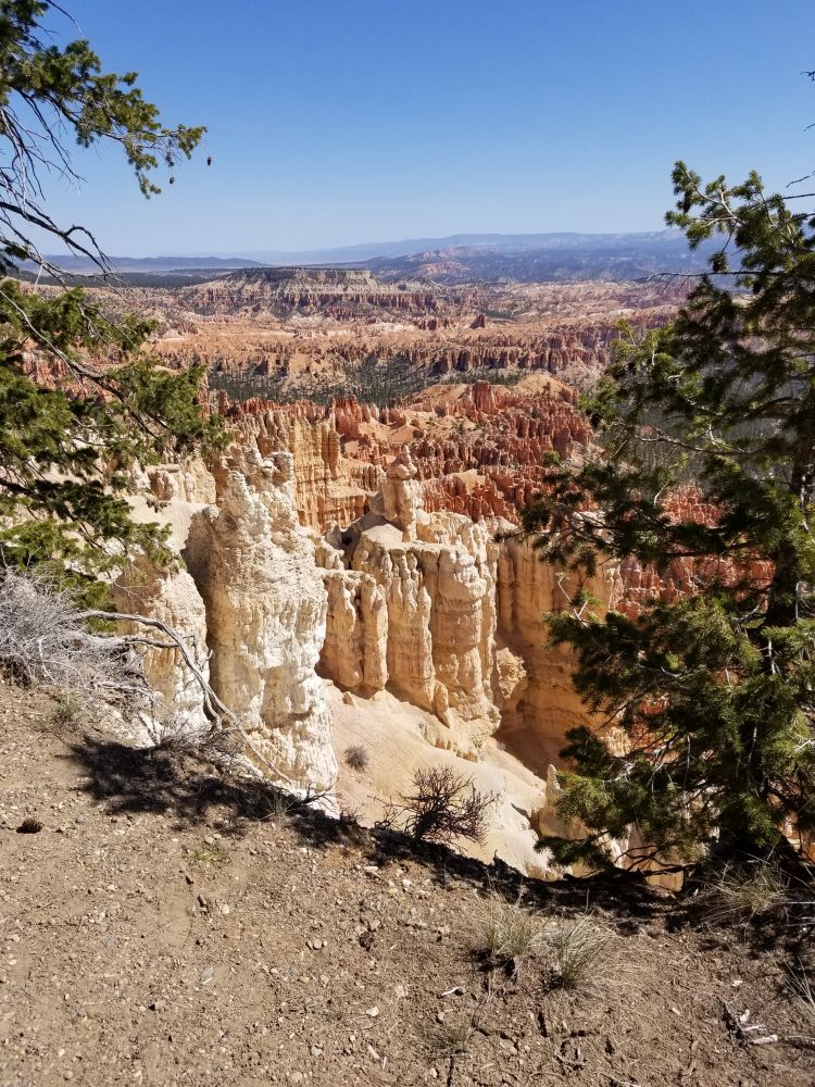Outlook