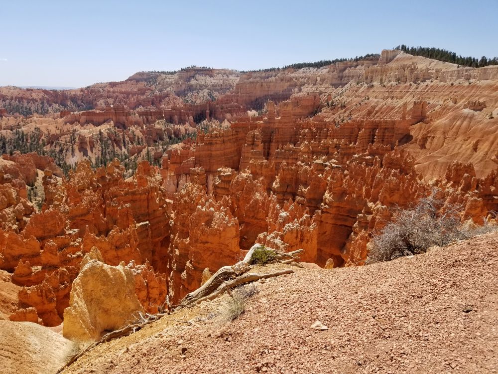 Outlook