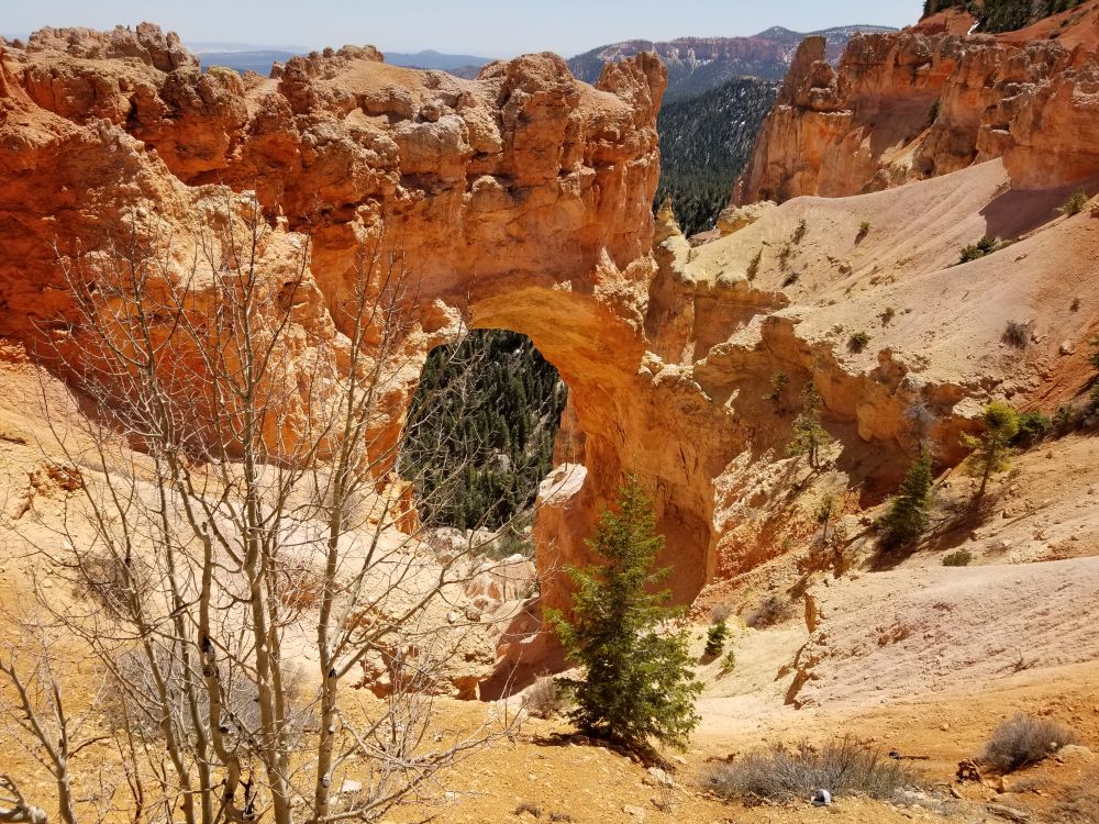 Outlook