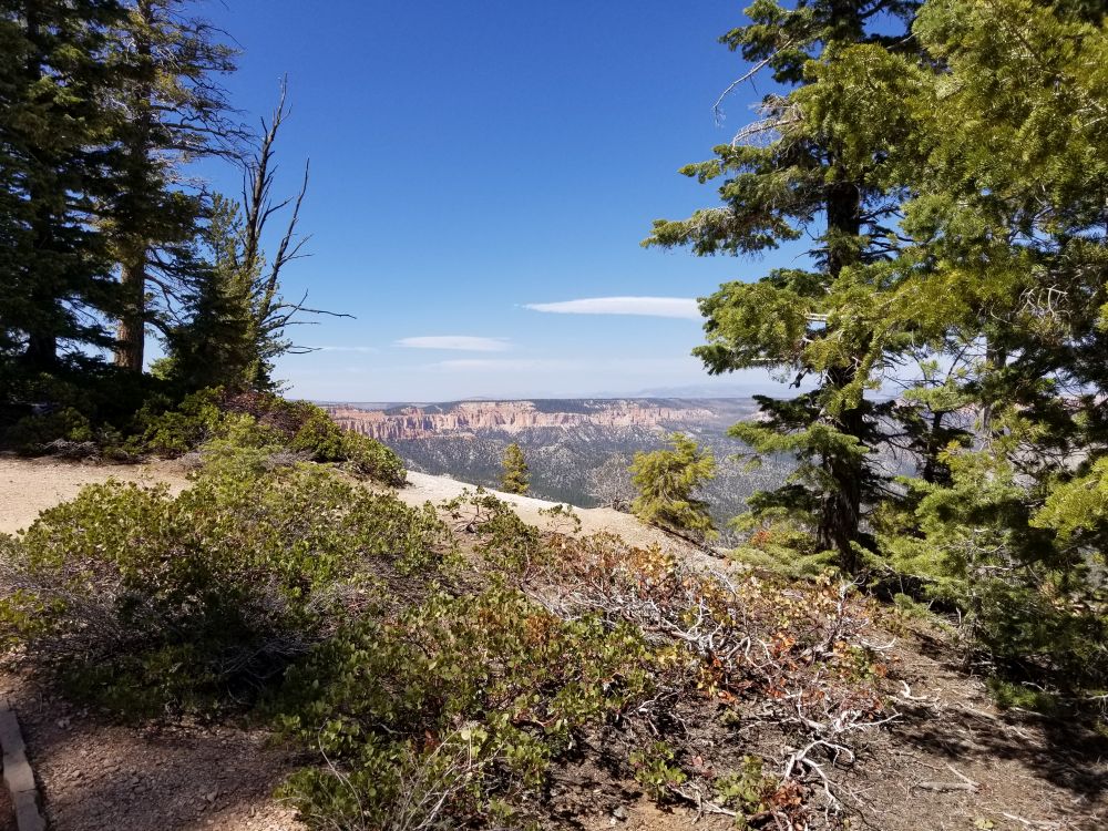 Outlook