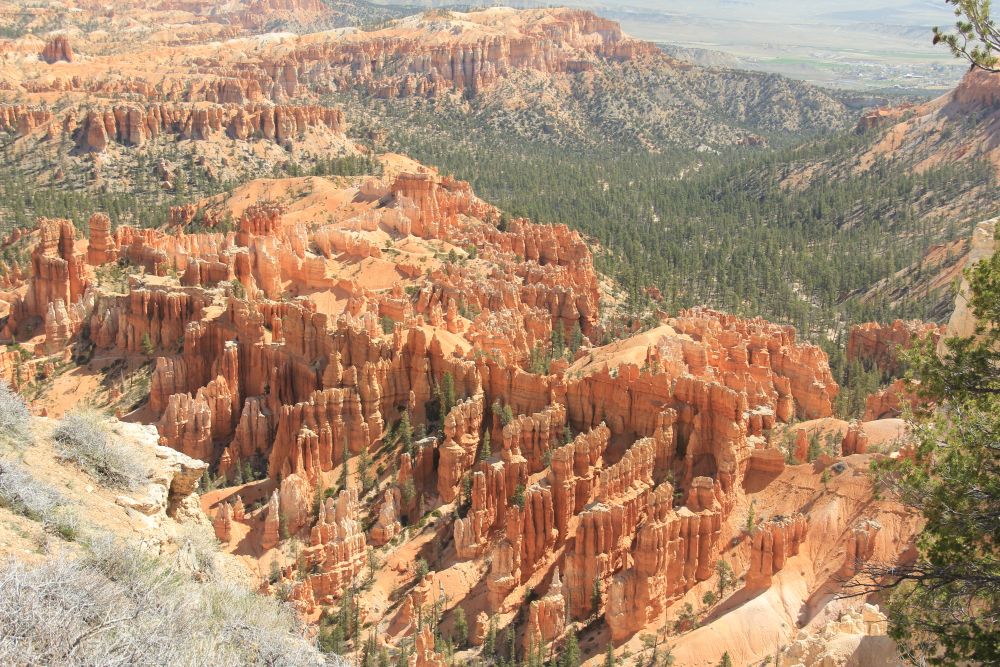 Outlook