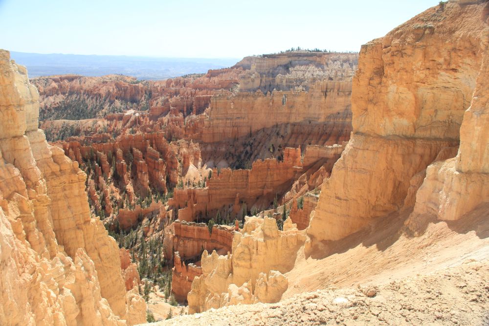 Outlook