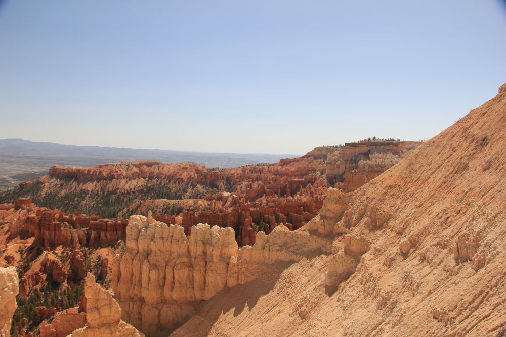 Outlook