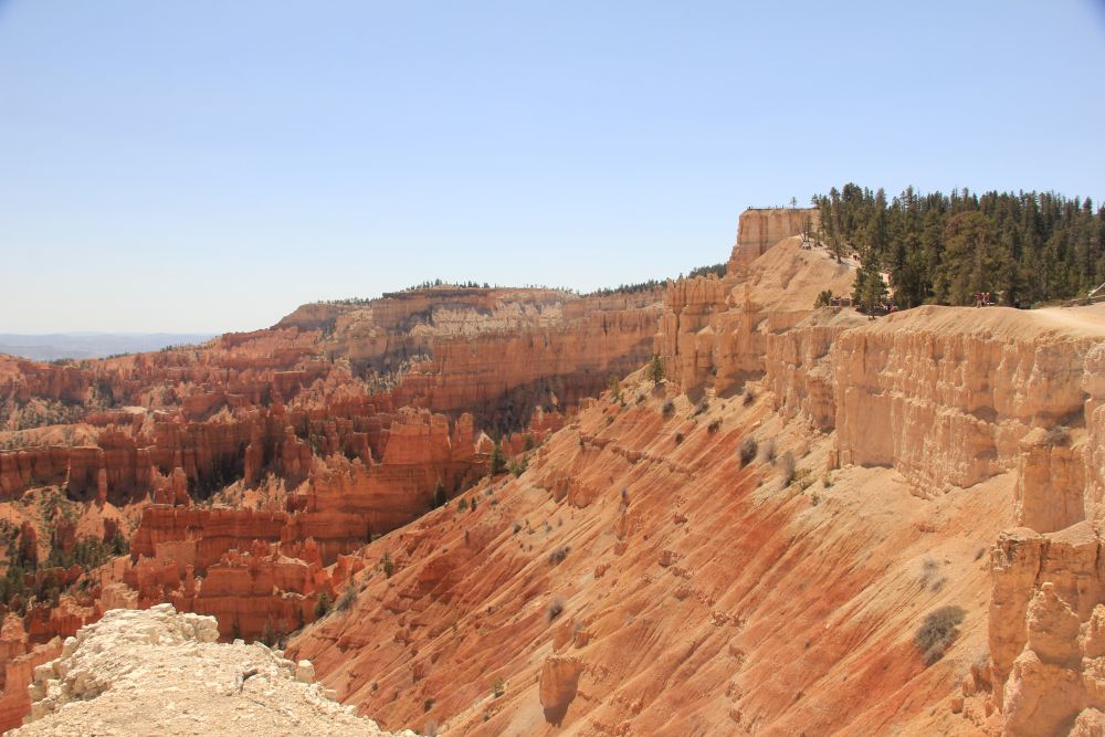 Outlook