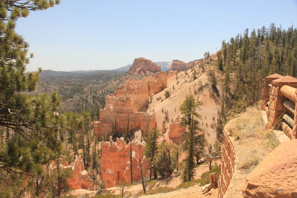 Outlook