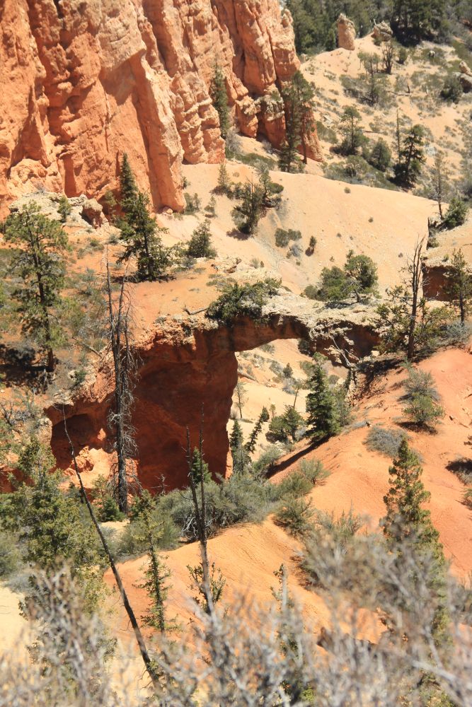 Outlook