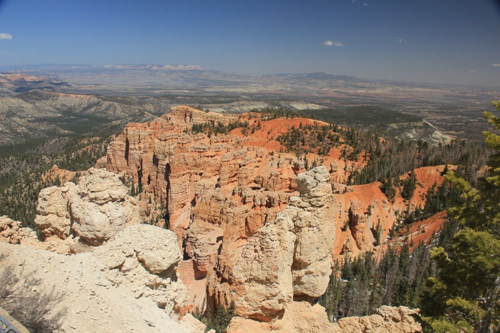 Outlook
