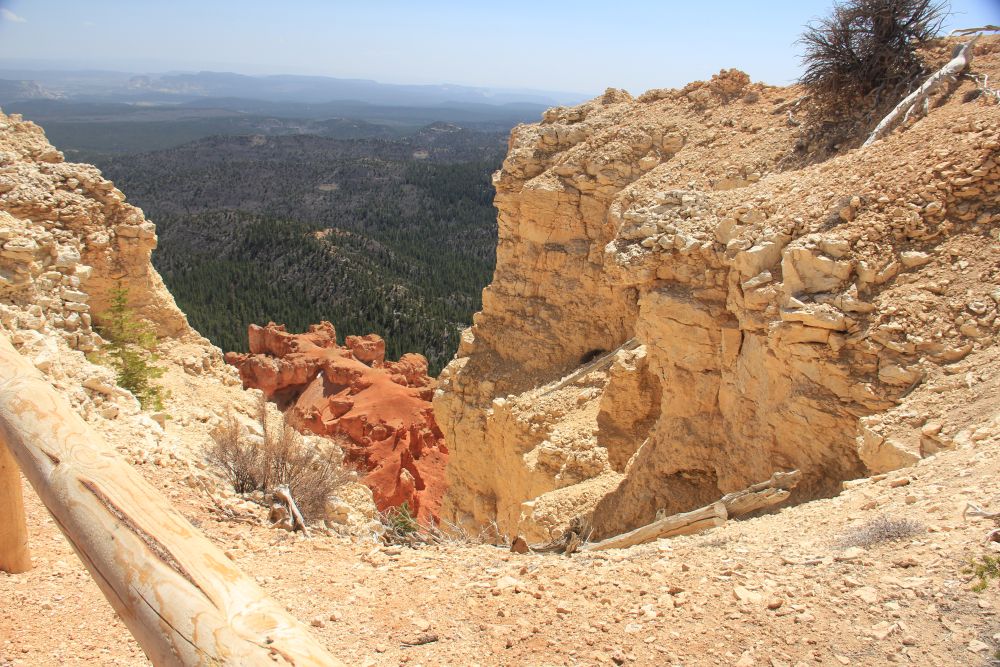 Outlook
