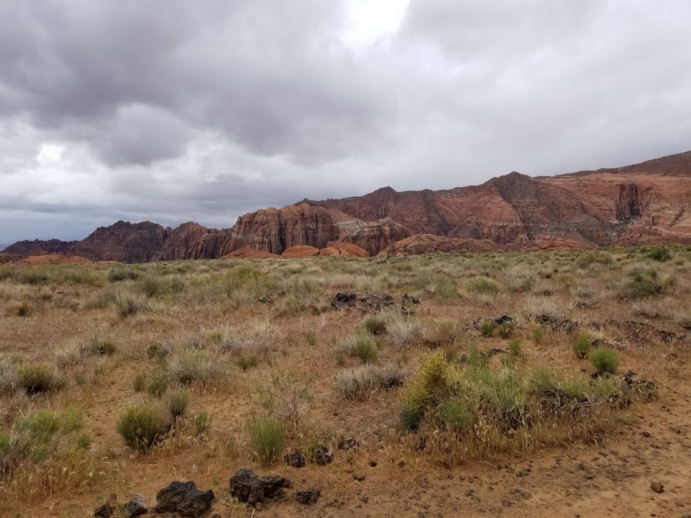 Outlook