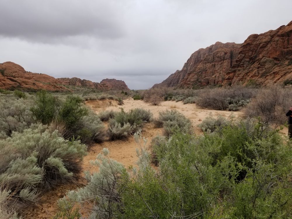 Outlook
